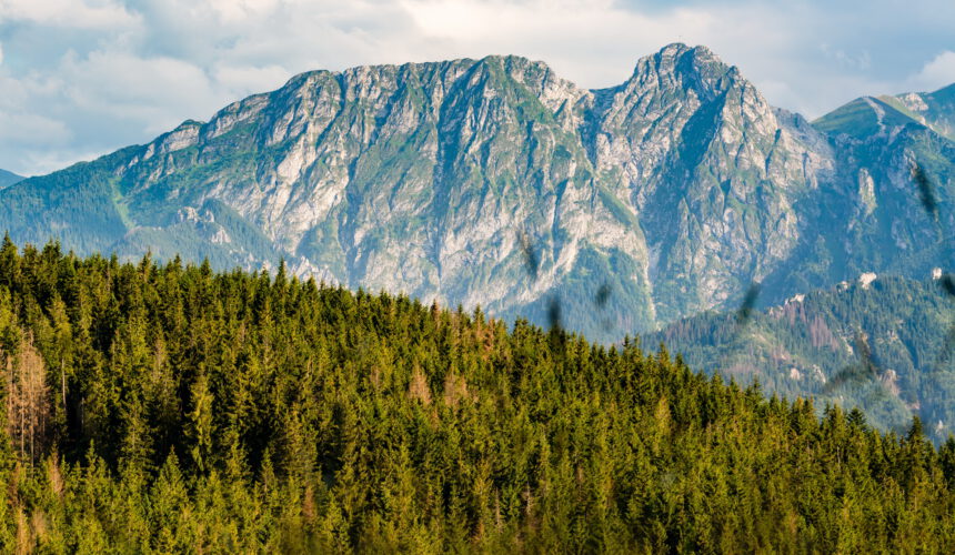 wakacje nocleg zakopane